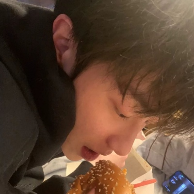 Furry绘画动态灵感福瑞群